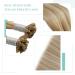 Youngsee Bonding Extensions - Real Hair Blond Highlights 45cm U Tip Remy Keratin 50g #16/22 #P16/22 - Premium Quality Hair Extensions - Buy Online on GoSupps.com