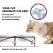Y YHY Raised Cat Bowls 12oz Elevated Cat Food and Water Bowls with Stand Raised Pet Feeder Elevated Food Feeding Dishes for Cats or Dogs Dishwasher Safe Gift for Cats Dia 4.8in/White 12oz | 354ml White - Buy Online on GoSupps.com
