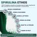  Ethos ETHOS Spirulina Powder 100g - Pure Spirulina algae powder produced and packaged in Italy natural superfood for creative cooking vegan supplement rich in phycocyanin and protein free from - Buy Online on GoSupps.com