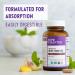 New Chapter Fermented Iron Complex - 90ct 3 Month Supply | Organic Whole-Food Ingredients | Non-Constipating Formula - Buy Online on GoSupps.com