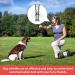 Byyt Ultrasound Dog Whistle - High Frequency Training Tool with Lanyard | Effective Bark Control & Dog Education - Buy Online on GoSupps.com