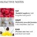 Molton Brown Jasmine & Sun Rose Bath & Shower Gel New Version - Buy Online on GoSupps.com