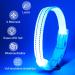 KOSKILL USB LED Dog Collar - Waterproof & Adjustable Luminous Collar for Small Dogs - Super Bright Blue S - Buy Online on GoSupps.com