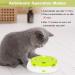 Pettom Interactive Cat Toy | Electric Butterfly Funny Exercise Toy for Kittens | Rotating Pop N Play Toy with Replacement Feathers | Green - Buy Online on GoSupps.com
