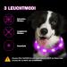 Nepfaivy Luminous Dog Collar - Waterproof LED USB Charging Adjustable Length 3 Safety Light Modes Purple Silicone - Buy Online on GoSupps.com