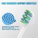8 Pack Replacement Toothbrush Heads for Philips Sonicare | Compatible with C2 G2 W 4100 5100 HX9023 | Snap-on Design for Plaque Control - Buy Online on GoSupps.com
