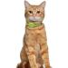 Oopsdoggy Leather Airtag Cat Collar with Bells - Tearable & Light GPS Pet Collar for Cats & Small Dogs in Lime Green - Buy Online on GoSupps.com