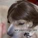 1 Piece Pet Wig Dog and Cat Cosplay Wig Christmas Dog Wig Large and Small Dog Wig Pet Wig with Bangs Suitable for Artistic Photos and Holiday Parties (Brown) - Buy Online on GoSupps.com