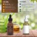 Buy Niacinamide Serum for Face - Antioxidant & Anti-Aging with Aloe & Zinc - 5% Niacinamide Oil Regulation & Pore Reduction - 1 Ounce - Buy Online on GoSupps.com