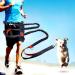 Hands Free Dog Leash Retractable Dog Leash Running with Dual Bungees for Medium and Large Dogs Adjustable Waist Belt Reflective Stitching Leash for Running Walking Hiking Jogging Biking (Orange) - Buy Online on GoSupps.com