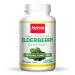 Jarrow Formulas Highly Concentrated Elderberry Extract 60 Veggie Caps