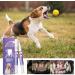 Pet Oral Repair Gel for Dogs Pet Oral Repair Gel Pet Oral Care Gel Pet Oral Restoration Whitening Gel Gel Pet Oral Pet Oral Repair Gel Pen for Cats (7pc) - Buy Online on GoSupps.com