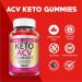 Great Results Keto ACV Gummies (5 Pack) - Vegan Apple Cider Vinegar Formula 1000mg - Advanced Vitamin B - 300 Gummies - Buy Online on GoSupps.com