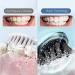Buy Rechargeable Electric Toothbrush for Adults - 4 Replacement Heads 8 Modes Timer & IPX7 Waterproof in Antique Black - International Shipping Available - Buy Online on GoSupps.com