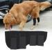Stability Support Dog Leg Support Neoprene Pet Knee Guard Stabilize Arthritis for Dog Leg Guard(Black L) - Buy Online on GoSupps.com