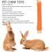Pet Sweet Bamboo Sticks Rabbit Molar Sticks Promote Digestion 20pcs for Guinea Pig (Orange) - Buy Online on GoSupps.com