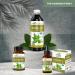 USDA Organic Guayusa Loose Leaf Extract - Natural Caffeine Energy Drink for Energy Mood & Concentration - 12oz Made in USA - Buy Online on GoSupps.com