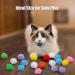 Cat Interactive Toys Cat Ball Toy Toy Ball Launcher with 100pcs Soft Pom Pom Balls Cat Fetch Toys for Indoor Exercise Pet Chasing Training Toys - Buy Online on GoSupps.com