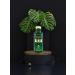 Wahah Series 100ml - Discover the Scent of the Oriental With Our Oasis-Inspired Eau de Parfum Series - Made in Dubai For Men & Women Exotic Aroma of the Arabian Desert (Poison ivy) - Buy Online on GoSupps.com