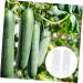 SUPVOX 2pcs Vegetable Shaping Vegetables Kit Cucumber Molds for Garden Pumpkin Loofah - Buy Online on GoSupps.com