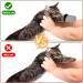 KALIONE Cat Boots 4 Packs cat Claw Covers Black Anti Scratch Cat Mittens Breathable Mesh Cat Foot Covers Adjustable Cat Claw Protectors for Indoor Cats Pet Bathing Cutting Nails Grey - Buy Online on GoSupps.com