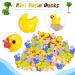 100Pcs Mini Resin Ducks Multicolor Landscape Decorations - Miniature Duck Figures for Home, Garden, Aquarium - Hide Prank Game Dollhouse Decor - 6 Color Assortment - Buy Online on GoSupps.com