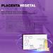 Postquam Plant Placenta Hair Ampoules - Stimulate Growth & Prevent Hair Loss | 12 x 9ml Glass Ampoules - Buy Online on GoSupps.com