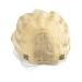 SWACC 15 Inch Short Curly Wavy Synthetic Wig with Wig Cap - White - Perfect for Cosplay and Parties - Buy Online on GoSupps.com