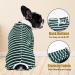Buy Axcimond Long-Sleeved Dog Body - Post-Op Wound Protection for Small & Medium Dogs - 2XL Green | Anti-Leak Dog Cone Alternative - Buy Online on GoSupps.com