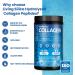 Hydrolyzed Collagen Peptides Powder Enriched with Silicon Hyaluronic Acid Vitamin C Biotin and Acacia Gum. Vanilla Flavor. 330g jar. - Buy Online on GoSupps.com