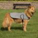 Proviz Sports 100% Reflective High-Vis Waterproof Dog Coat | Best for Safety & Comfort | International Shipping - Buy Online on GoSupps.com