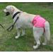 Oyccen 2pcs Reusable Female Dog Diapers | Protective Pants & Sanitary Underwear for Dogs | Eco-Friendly Pet Care - Buy Online on GoSupps.com