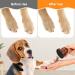 BEANPRECOY Dog Nail File with 8pcs Sandpaper Dog Nail Scratch Board Dog Nail Grinder Wooden Replaceable Sandpaper Dog Nail Trimmers for Polishing Cat and Dog Nails - Buy Online on GoSupps.com