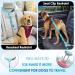 SlowTon Dog Seat Belt 2 Pack Pet Car Seatbelt Headrest Restraint Adjustable Puppy Safety Seat Belt Reflective with Elastic Bungee Connect with Dog Harness in Vehicle for Travel Daily Use(Light Blue) Light Blue Headrest + Clip (Dual Restraint) - Buy Online on GoSupps.com