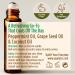 Gya Labs Peppermint Essential Oil Roll-On 10ml - Sweet Minty Scent - 1 Pack - Buy Online on GoSupps.com