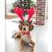 Lionheart Glory Christmas Hirsch Dog Shoe - Red Dwindle for Medium Dogs | 1 Pack Collar & Bowl - Buy Online on GoSupps.com