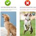 Shop Airtag Dog Collar & Silicone Cover for GPS Tracking | Anti-Loss & Safety Pet Accessories (Blue-Red) - Buy Online on GoSupps.com