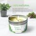 Chandelita Fragrance Candle - Natural Sage & Cedar Aroma Candle with Essential Oils | Soy Wax Chakra & Meditation Aromatherapy - Buy Online on GoSupps.com