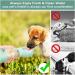 Philorn 350ml Portable Dog Drinking Bottle | BPA-Free 100% Leak-Proof | Cat & Dog Water Bottle & Food Mug | Mint Green - Buy Online on GoSupps.com