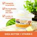 Buy 2-Pack Palmers Shea Butter Formula Body Balm - Nourishing 7.25oz + Free Exfoliating Sponge & Mini Spatula | Vitamin E 48-Hour Moisture - International Shipping Available - Buy Online on GoSupps.com