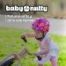 Nutcase Baby Nutty Toddler Bike Helmet | MIPS Protection | Magnetic Buckle | XX-Small - Jawbreaker MIPS - Buy Online on GoSupps.com