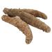 DOL Wild Alaska Red Sea Cucumber - Dried Large 1lb Bag | 1 Pound Pack - Buy Online on GoSupps.com