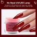 Buy Honey Joy 6 Box Dark Brown Dip Nail Powder Kit - No Lamp Cure Gel Polish Effect Smooth Finishing - Buy Online on GoSupps.com