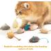 9 Pcs Catnip Toys for Cats Cat Mouse Toy Catnip Mouse Toys for Cat Cat Toys for Indoor Cats Adult and Kitten Toys for Indoor Cats Soft Cat Mouse Toy Toy for Cat Playing Chewing Teeth Cleaning - Buy Online on GoSupps.com