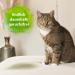 Bactador Enzyme Cleaner - Cat Toilet Smell Remover Spray 150ml | Microbiological Odor Neutralizer | Dog & Cat Urine Odor Eliminator | Deep Cleaning for Pets - Buy Online on GoSupps.com