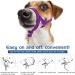 Pawaboo Dog Halter - Pet Safe Control Nylon Reflecting Adjustable Dog Training Holder M Size Purple (Violet) | International Shipping - Buy Online on GoSupps.com