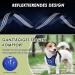 Eyin Dog Harness with Seat Belt for Car - Adjustable & Breathable | 2 Carabiner Hooks | Child Safety Seat & Trunk | Blue M - Buy Online on GoSupps.com