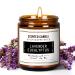 Premium Eucalyptus & Lavender Scented Candles - Soy Wax Candles | Aromatherapy Candles for Stress Relief Meditation Yoga Relaxing SPA | Natural Jar Candles for Home Men Women Office Eucalyptus & Lavender M
