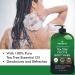 Tea Tree Body & Foot Wash - Fights Corns, Calluses, Dandruff, Warts, Nail Issues, Acne, Body Odor, Eczema, Jock Itch - 100% Natural - 16 fl oz - Buy Online on GoSupps.com