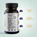 Life Seasons Focus-R: Nootropic Brain Formula for Concentration and Memory - 10 Capsules - Buy Online on GoSupps.com